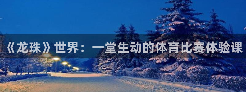 《龙珠》世界：一堂生动的体育比赛体验课