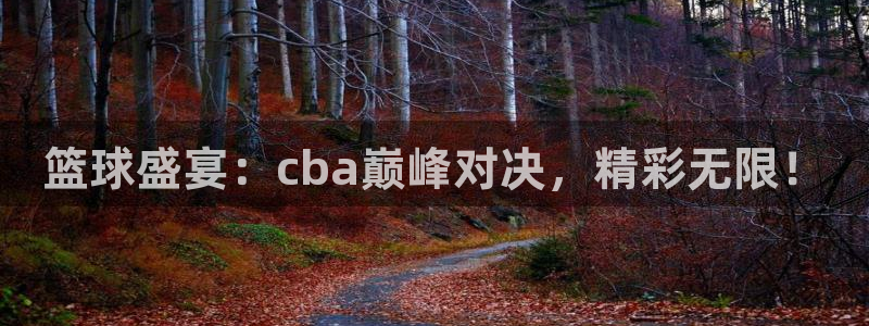 篮球盛宴：cba巅峰对决，精彩无限！
