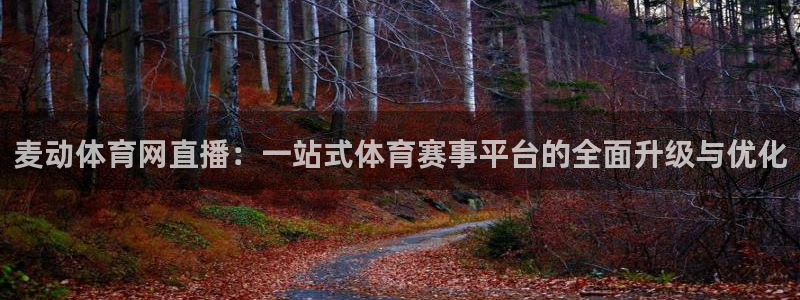 麦动体育网直播：一站式体育赛事平台的全面升级与优化
