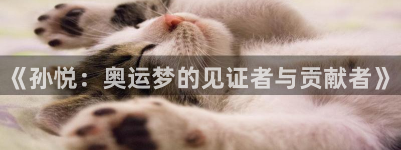 《孙悦：奥运梦的见证者与贡献者》