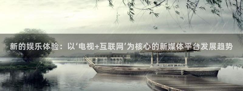 新的娱乐体验：以‘电视+互联网’为核心的新媒体平台发展趋势