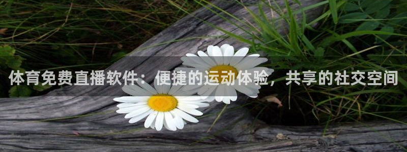 体育免费直播软件：便捷的运动体验，共享的社交空间